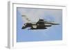 U.S. Air Force F-16C of Columbia Air National Guard-Stocktrek Images-Framed Photographic Print