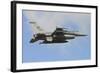 U.S. Air Force F-16C of Columbia Air National Guard-Stocktrek Images-Framed Photographic Print