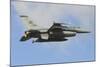 U.S. Air Force F-16C of Columbia Air National Guard-Stocktrek Images-Mounted Photographic Print