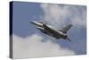 U.S. Air Force F-16C Taking Off-Stocktrek Images-Stretched Canvas