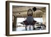 U.S. Air Force F-22A Raptor Parked in its Shelter at Holloman Air Force Base-Stocktrek Images-Framed Photographic Print