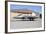 U.S. Air Force F-22A Raptor Taxiing at Holloman Air Force Base-Stocktrek Images-Framed Photographic Print