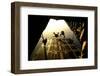 U.S. Air Force Pararescuemen Jump from an Hc-130 Aircraft Off the Coast of Djibouti-Stocktrek Images-Framed Photographic Print