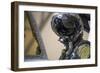 U.S. Air Force Pilot Conducts Preflight Checks on His Aircraft-null-Framed Photographic Print