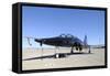 U.S. Air Force T-38 Talon at Holloman Air Force Base, New Mexico-Stocktrek Images-Framed Stretched Canvas