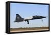 U.S. Air Force T-38 Talon Landing at Sheppard Air Force Base, Texas-Stocktrek Images-Framed Stretched Canvas