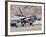 U.S. Air Force Thunderbirds on the Ramp at Nellis Air Force Base, Nevada-Stocktrek Images-Framed Photographic Print