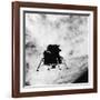 U.S. Apollo 9 Lunar Module-null-Framed Photographic Print