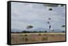 U.S. Army Paratroopers Descend to a Drop Zone in France-null-Framed Stretched Canvas