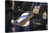 U.S. Army Sergeant Holds the Medal of Honor-null-Stretched Canvas