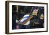 U.S. Army Sergeant Holds the Medal of Honor-null-Framed Photographic Print