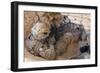 U.S. Army Specialist Provides Security Inside an Abandoned Fortress-null-Framed Photographic Print