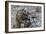 U.S. Army Specialist Sets Up Radio Communications-null-Framed Photographic Print