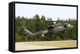 U.S. Army Uh-60L Blackhawk Helicopter Landing at Florida Airport-null-Framed Stretched Canvas