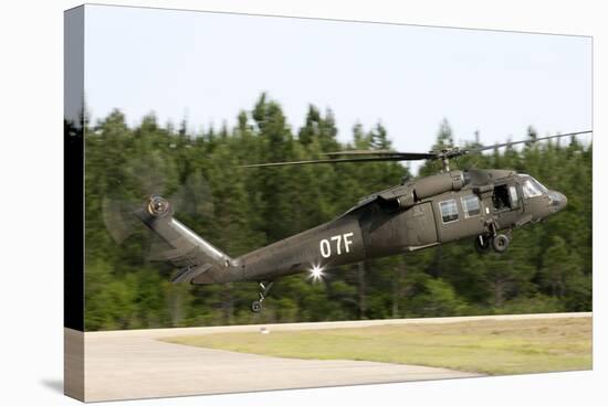 U.S. Army Uh-60L Blackhawk Helicopter Landing at Florida Airport-null-Stretched Canvas