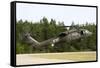 U.S. Army Uh-60L Blackhawk Helicopter Landing at Florida Airport-null-Framed Stretched Canvas
