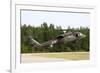 U.S. Army Uh-60L Blackhawk Helicopter Landing at Florida Airport-null-Framed Photographic Print