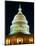 U.S. Capitol at Night-Joseph Sohm-Mounted Photographic Print