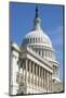 U. S. Capitol Building in Washington, DC-Paul Souders-Mounted Photographic Print
