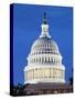 U.S. Capitol dome-Raimund Koch-Stretched Canvas