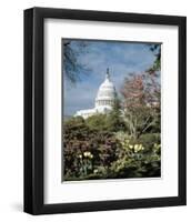 U.S. Capitol, Washington, D.C. Number 3 - Vintage Tint-Carol Highsmith-Framed Art Print