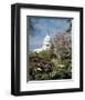 U.S. Capitol, Washington, D.C. Number 3 - Vintage Tint-Carol Highsmith-Framed Art Print