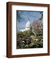 U.S. Capitol, Washington, D.C. Number 3 - Vintage Tint-Carol Highsmith-Framed Art Print