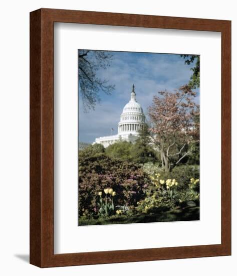 U.S. Capitol, Washington, D.C. Number 3 - Vintage Tint-Carol Highsmith-Framed Art Print