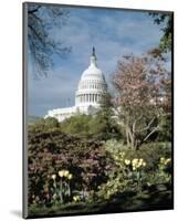 U.S. Capitol, Washington, D.C. Number 3 - Vintage Tint-Carol Highsmith-Mounted Art Print