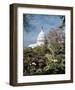 U.S. Capitol, Washington, D.C. Number 3 - Vintage Tint-Carol Highsmith-Framed Art Print