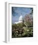 U.S. Capitol, Washington, D.C. Number 3 - Vintage Tint-Carol Highsmith-Framed Art Print