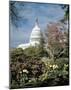 U.S. Capitol, Washington, D.C. Number 3 - Vintage Tint-Carol Highsmith-Mounted Art Print