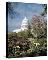 U.S. Capitol, Washington, D.C. Number 3 - Vintage Tint-Carol Highsmith-Stretched Canvas