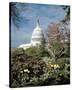 U.S. Capitol, Washington, D.C. Number 3 - Vintage Tint-Carol Highsmith-Stretched Canvas