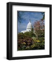 U.S. Capitol, Washington, D.C. Number 3-Carol Highsmith-Framed Art Print