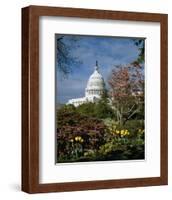 U.S. Capitol, Washington, D.C. Number 3-Carol Highsmith-Framed Art Print