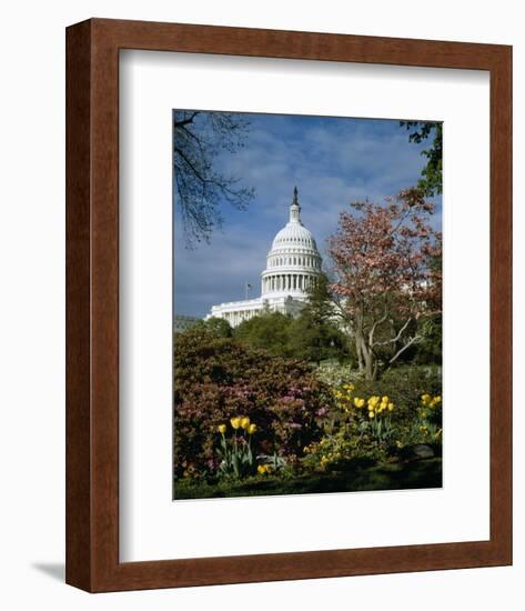 U.S. Capitol, Washington, D.C. Number 3-Carol Highsmith-Framed Art Print