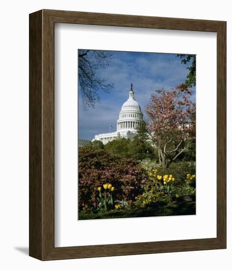 U.S. Capitol, Washington, D.C. Number 3-Carol Highsmith-Framed Art Print