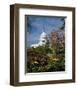 U.S. Capitol, Washington, D.C. Number 3-Carol Highsmith-Framed Art Print