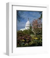 U.S. Capitol, Washington, D.C. Number 3-Carol Highsmith-Framed Art Print