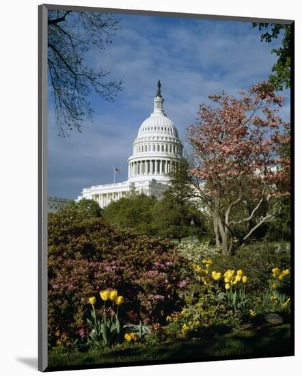 U.S. Capitol, Washington, D.C. Number 3-Carol Highsmith-Mounted Art Print