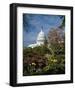 U.S. Capitol, Washington, D.C. Number 3-Carol Highsmith-Framed Art Print
