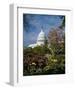 U.S. Capitol, Washington, D.C. Number 3-Carol Highsmith-Framed Art Print