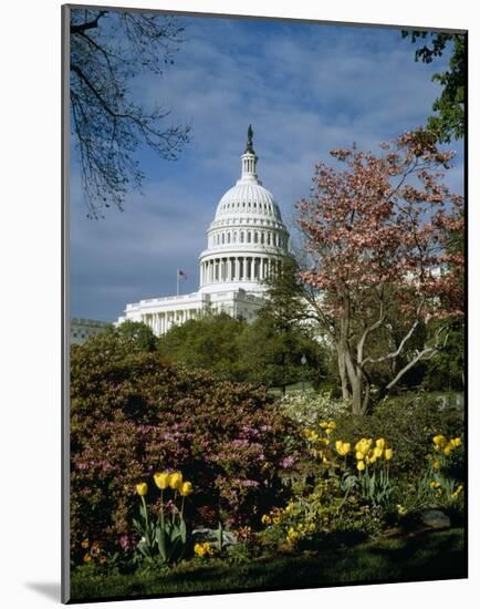 U.S. Capitol, Washington, D.C. Number 3-Carol Highsmith-Mounted Art Print