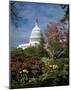 U.S. Capitol, Washington, D.C. Number 3-Carol Highsmith-Mounted Art Print