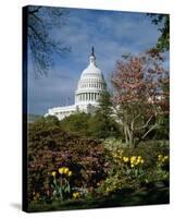 U.S. Capitol, Washington, D.C. Number 3-Carol Highsmith-Stretched Canvas