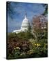 U.S. Capitol, Washington, D.C. Number 3-Carol Highsmith-Stretched Canvas