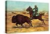 U.S. Cavalry Hunting Buffalo-Charles Shreyvogel-Stretched Canvas