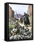 U.S. Cavalry Soldier Shooting Apache Sheep-Herders in a Canyon-null-Framed Stretched Canvas