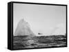 U.S. Coast Guard Patrolling Icebergs-Philip Gendreau-Framed Stretched Canvas